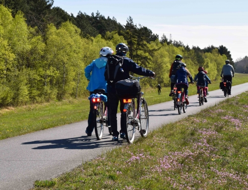 Land will Radwege-Bau an Bundesstraßen besser organisieren